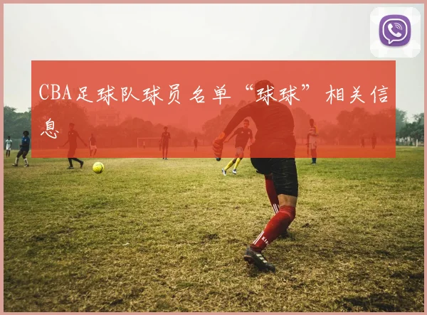 CBA足球队球员名单“球球”相关信息