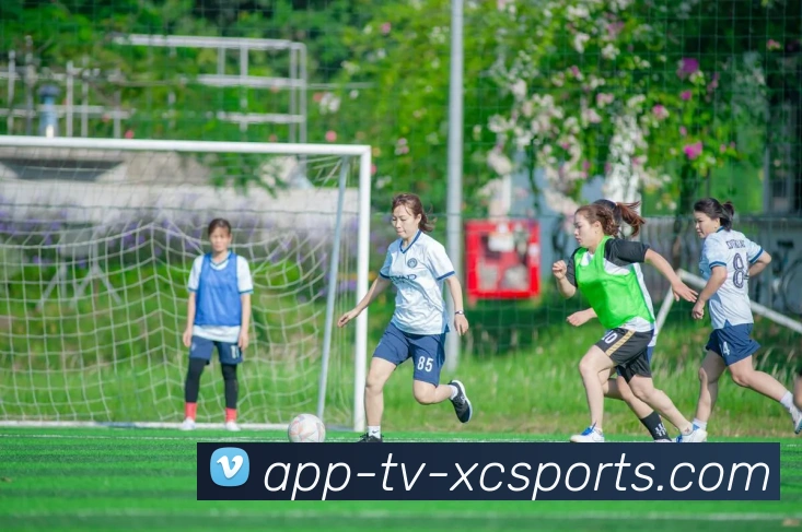 杏彩体育平台生态图