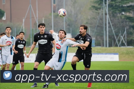 杏彩体育APP 封面图